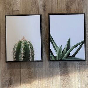Set of Two Cactus and Succulent Wall Art